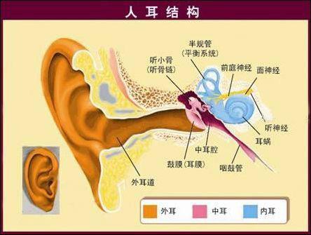 耳聋图片